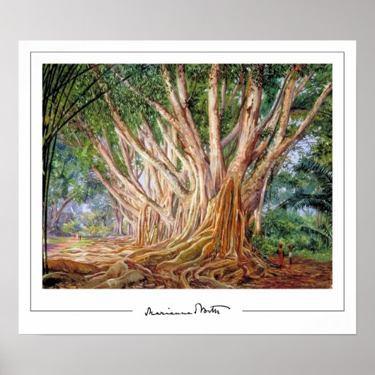 Marianne North Zedign Art Poster 5 (Voorkant)