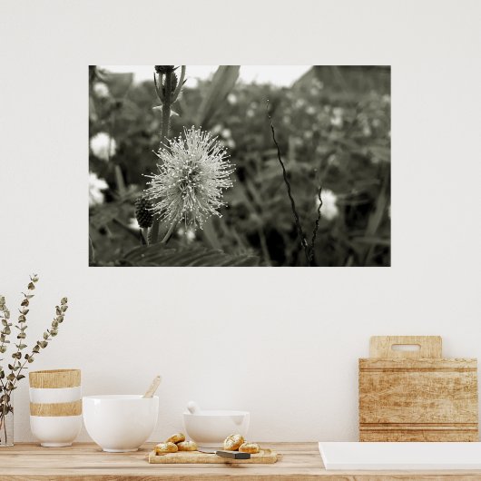 MariaS-fecha-a-porta Poster (Keuken)