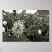 MariaS-fecha-a-porta Poster (Voorkant)