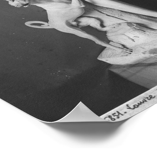 Marie-Adelaide de Savoie Poster (Hoek)