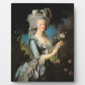 Marie Antoinette met een roos, 1783 Fotoplaat (Voorkant)