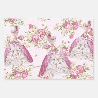 Marie Antoinette Pink Floral Roses Inpakpapier Vel