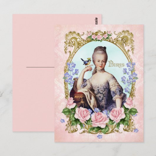 Marie Antoinette Roze Damask Antonia Roos Briefkaa Briefkaart (Voorkant / Achterkant)