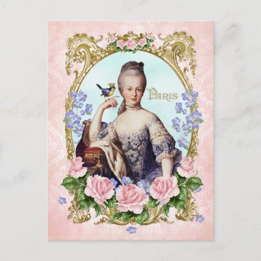 Marie Antoinette Roze Damask Antonia Roos Briefkaa Briefkaart (Voorkant)