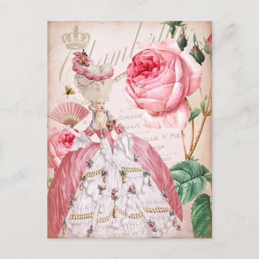 Marie Antoinette Roze  Rozen Briefkaart (Voorkant)