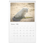 Marie Cardona - The Young Prince - Agenda 2022 Kalender (Feb 2026)