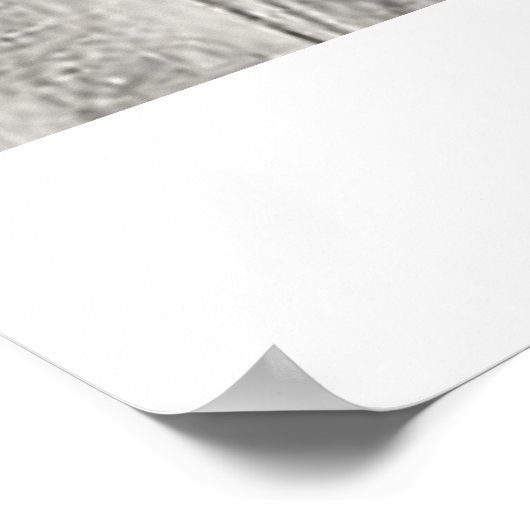 MARIE CURIE POSTER (Hoek)