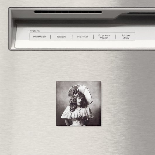 Marie Lloyd Magneet (Insitu (Vaatwasser))