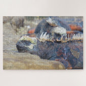 marien leguanen legpuzzel (Horizontaal)