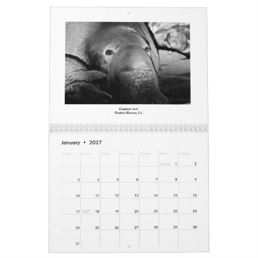 Marien leven 2011 kalender (Jan 2027)