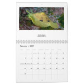 Marien leven 2011 kalender (Feb 2027)