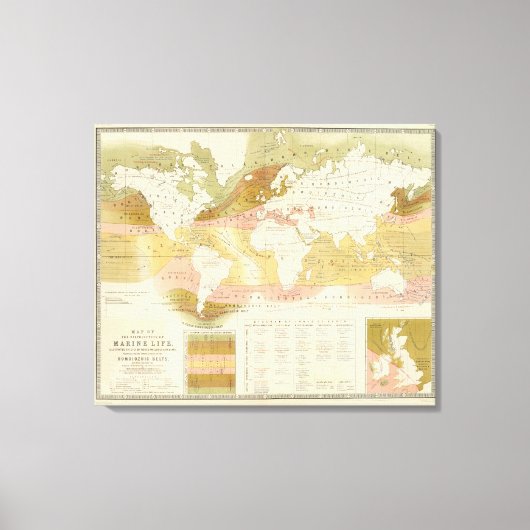 Marien leven canvas afdruk (Voorkant)