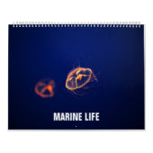 Marien leven kalender (Hoes)