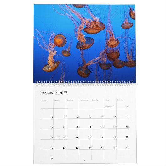 Marien leven kalender (Jan 2027)