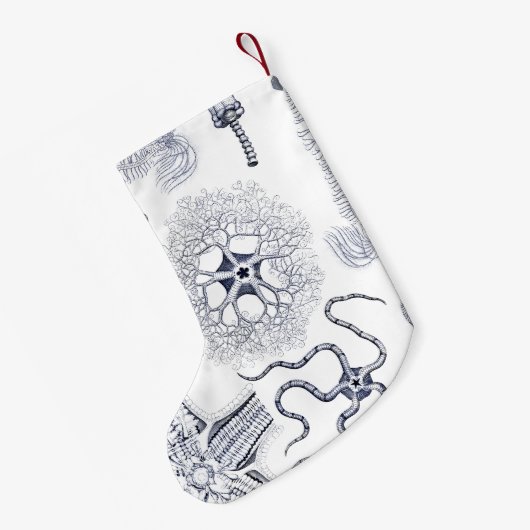 Marien Leven / Mariene Biologie Vreemde Zee Schadu Kleine Kerstsok (Achterkant (Hangend))