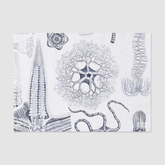 Marien Leven / Mariene Biologie Vreemde Zee Schadu Tissuepapier (Voorkant)