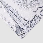 Marien Leven / Mariene Biologie Vreemde Zee Schadu Tissuepapier (Detail)