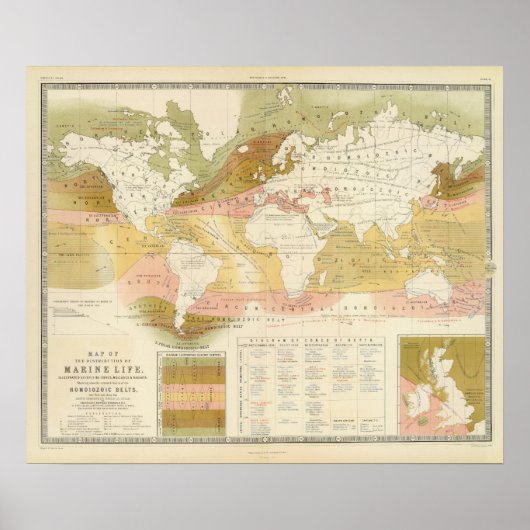 Marien leven poster (Voorkant)