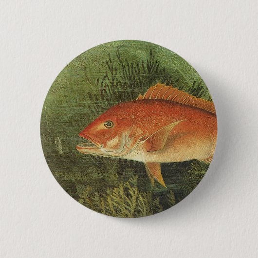  marien leven, rode snapper vis in de oceaan ronde button 5,7 cm (Voorkant)