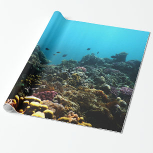 Marien milieu in de Stille Oceaan Cadeaupapier