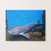 Mariene haaien. legpuzzel (Horizontaal)