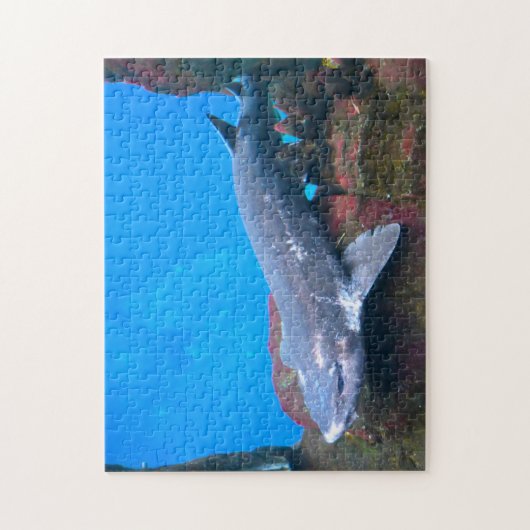 Mariene haaien. legpuzzel (Verticaal)