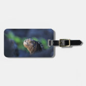 Mariene iguana Galapagos Bagagelabel (Voorkant horizontaal)