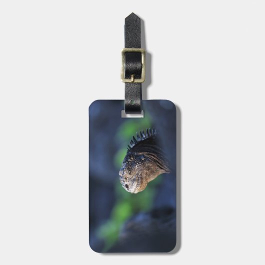 Mariene iguana Galapagos Bagagelabel (Voorkant verticaal)