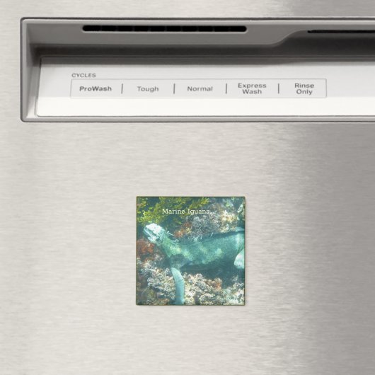 Mariene leguaan Wilde dieren Magneet (Insitu (Vaatwasser))