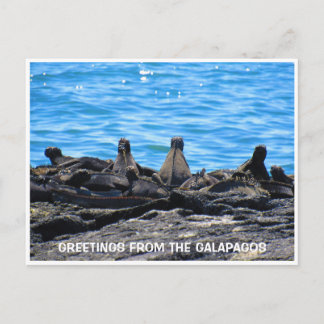 mariene leguaangroeten briefkaart