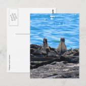 mariene leguanen briefkaart (Voorkant / Achterkant)