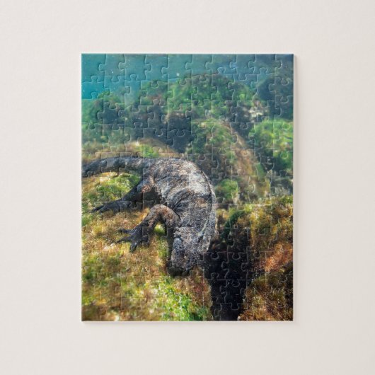 Mariene leguanen voeren onder water Galapagos Legpuzzel (Verticaal)