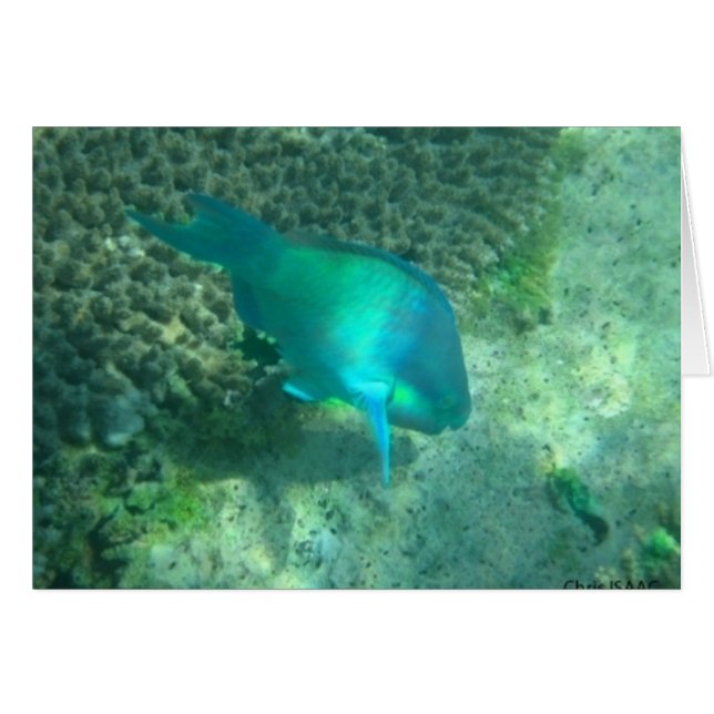 Mariene Leven (Voorkant Horizontaal)