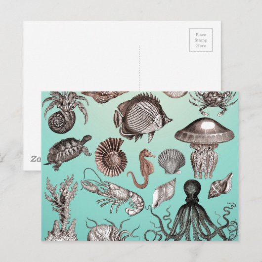 Mariene Leven Briefkaart (Voorkant / Achterkant)