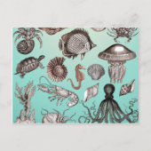 Mariene Leven Briefkaart (Voorkant)