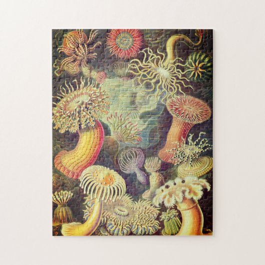 Mariene Leven Legpuzzel (Verticaal)