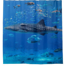 MARIENE LEVEN. SHARK WHALE MANTA RAY FISH OCEAN