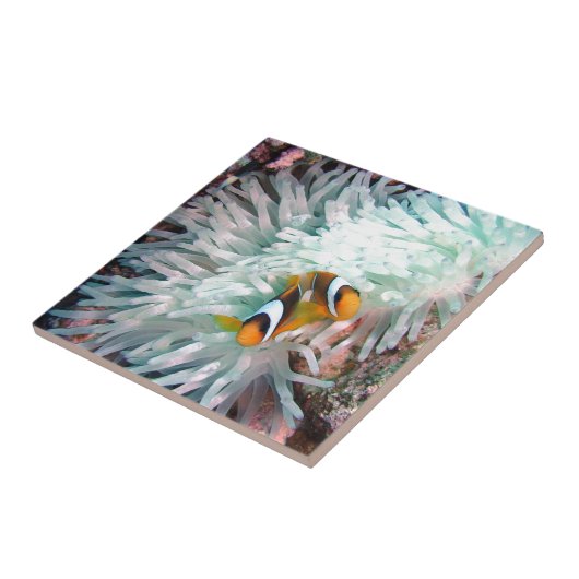 Mariene Leven Tegeltje (Zijkant)