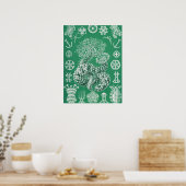 Mariene Leven Thuroidea Gurkensterne door Ernst Ha Poster (Keuken)