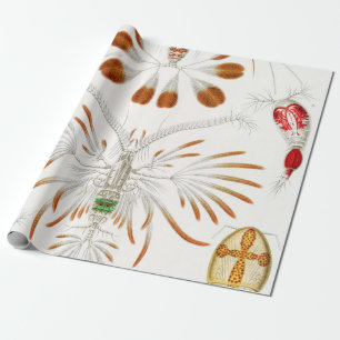 Mariene levensvormen schaaldieren, Copepoda door E Cadeaupapier