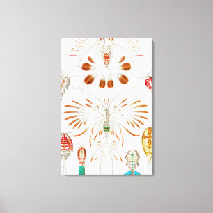 Mariene levensvormen schaaldieren, Copepoda door E Canvas Afdruk