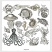 Mariene wezens doorzichtige vinyl Stickers (Vel)