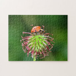 Marienkäfer auf Blüte Legpuzzel