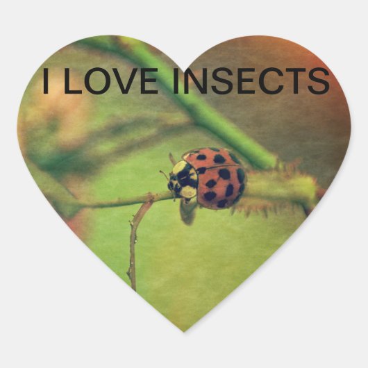 Marienkäfer Hart Sticker (Voorkant)
