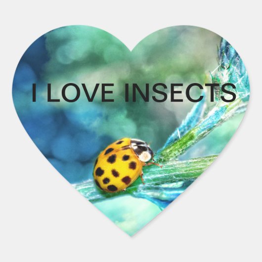 Marienkäfer Hart Sticker (Voorkant)