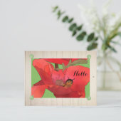Marienkäfer im Mohn Briefkaart (Staand voorkant)
