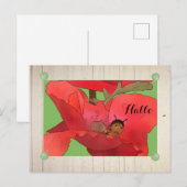 Marienkäfer im Mohn Briefkaart (Voorkant / Achterkant)