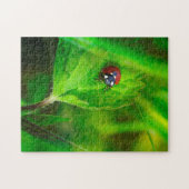 Marienkäfer in grüner Natur Legpuzzel (Horizontaal)