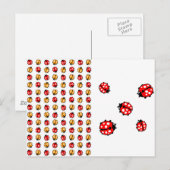 Marienkäfer Invasion Briefkaart (Voorkant / Achterkant)