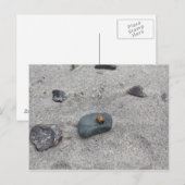 Marienkäfer Strand Briefkaart (Voorkant / Achterkant)